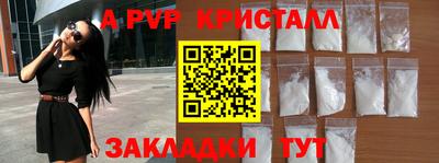стаф Можга