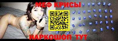 крисы Моздок