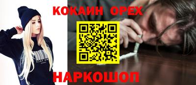 стаф Можга