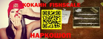 крисы Моздок