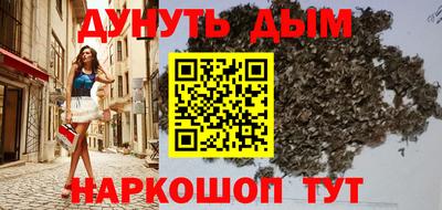крисы Моздок