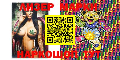 стаф Можга