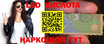 крисы Моздок