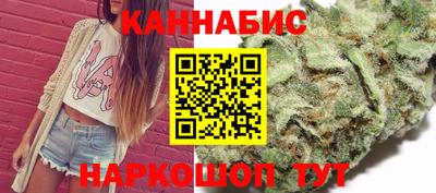 крисы Моздок