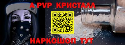 стаф Можга
