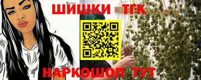 крисы Моздок