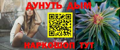 крисы Моздок