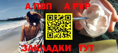 стаф Можга